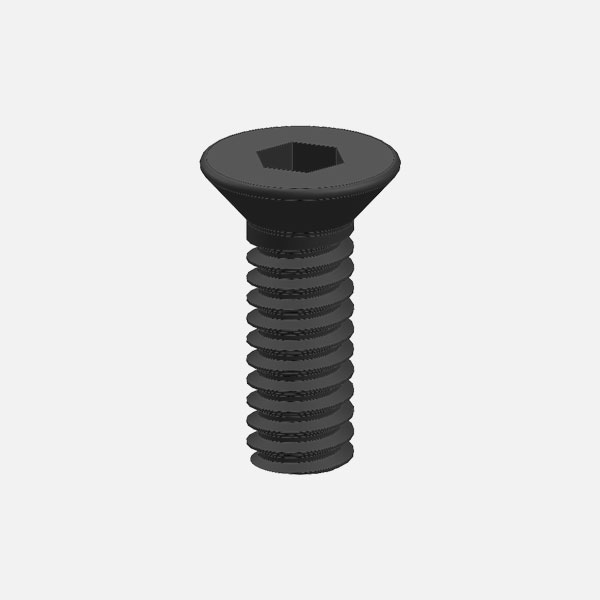 Flat Screw (Cover Plate)